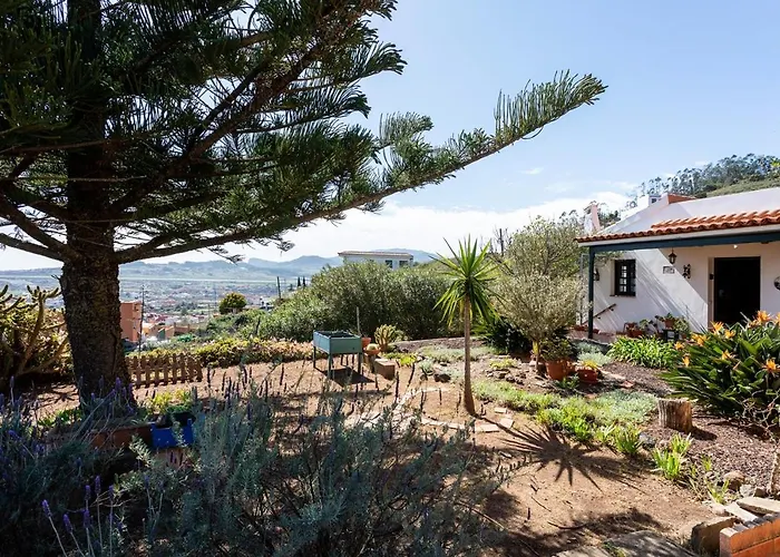 Vakantiehuis Live Casita Vieja
