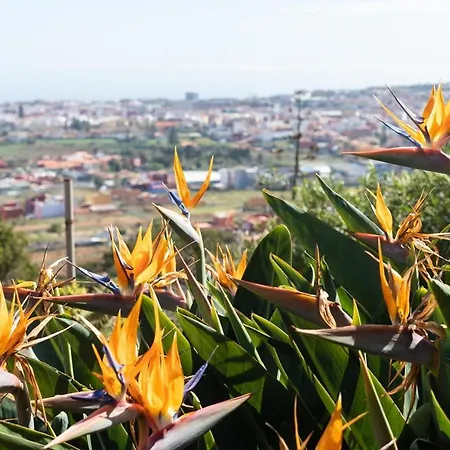 Live Casita Vieja Vakantiehuis La Laguna (Tenerife)