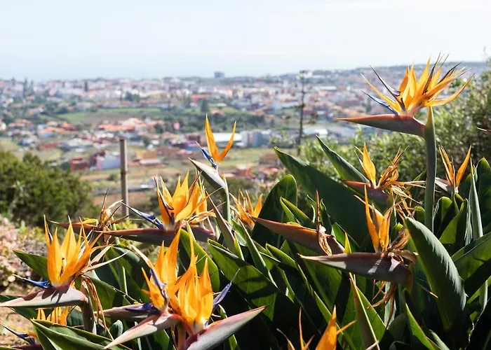 Live Casita Vieja Dom wakacyjny La Laguna (Tenerife)
